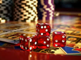 ledong网页版入口2024最新版